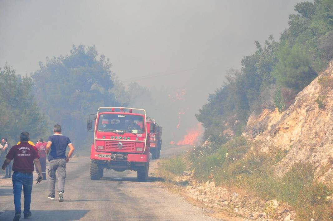Manisa'da çıkan orman yangınında dumanlar İzmir'e ilerliyor 10